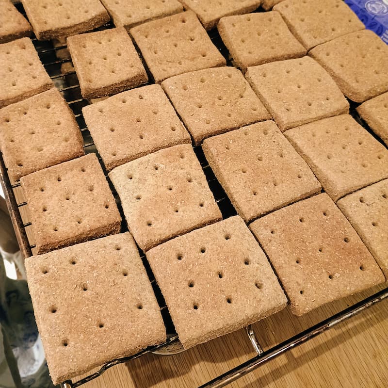 Freshly baked ship's biscuits